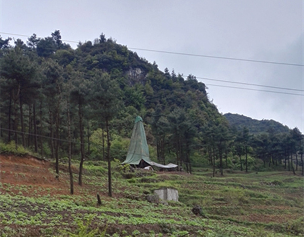 把脈“黔”鋅地，問診開良方