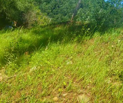 柳關(guān)欒盧鉛鋅礦|治理排土“瘡疤”，繪就綠色畫卷
